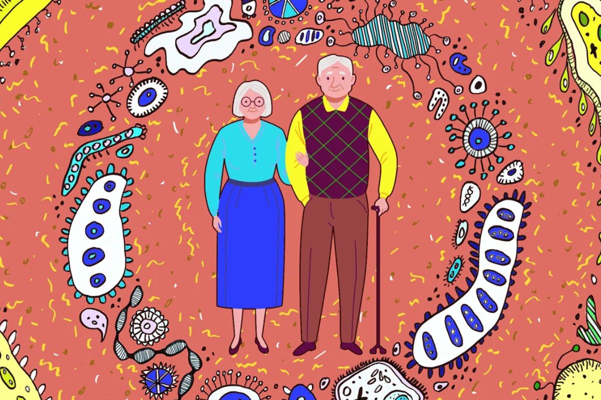 Elderly-microbiom