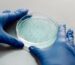 lab_cell