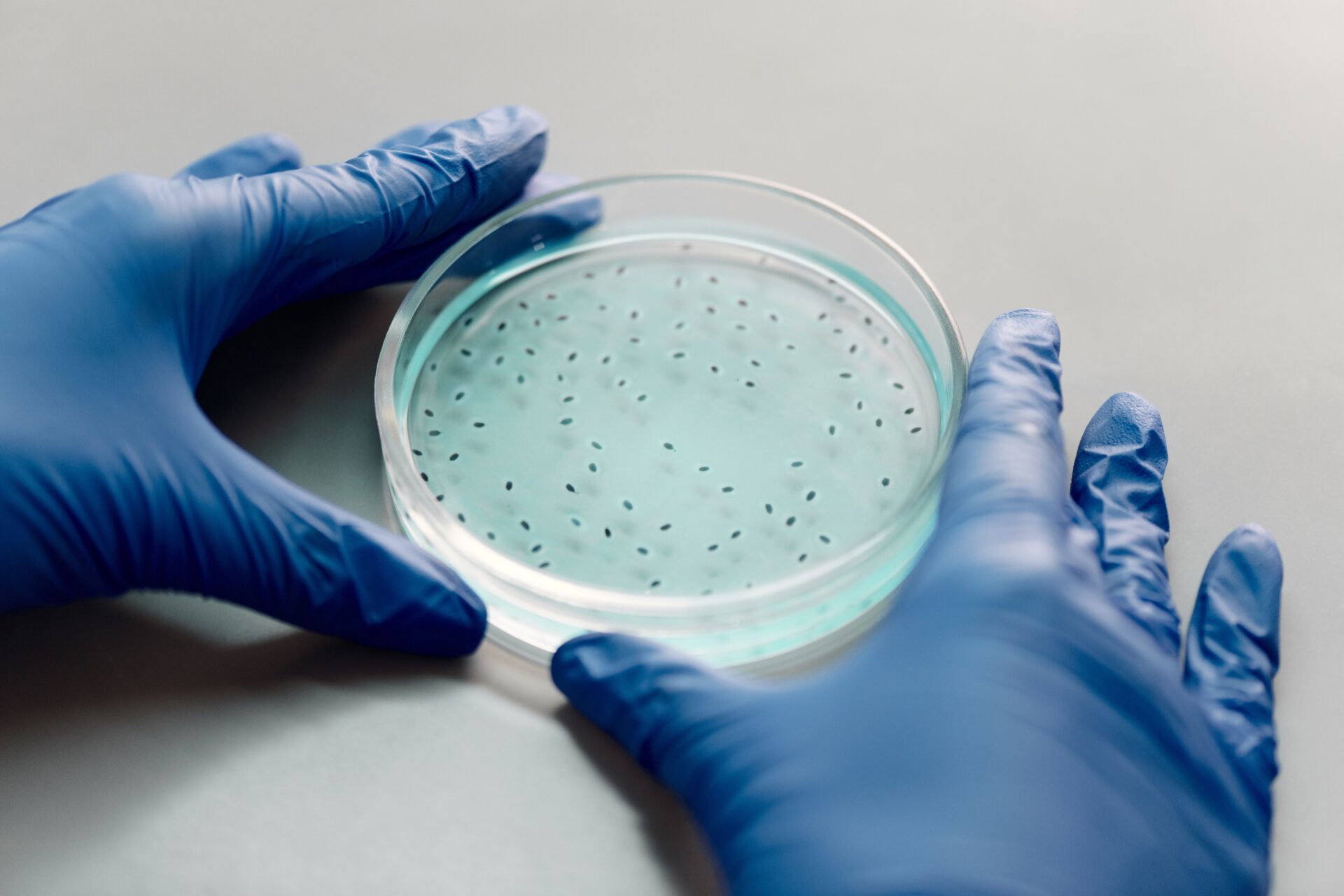 lab_cell
