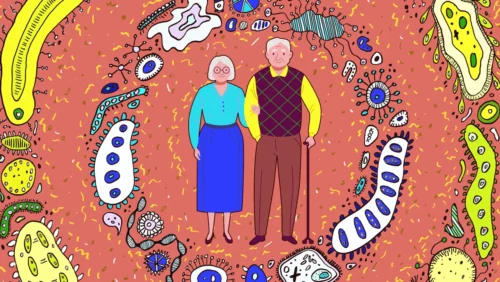 Elderly-microbiome